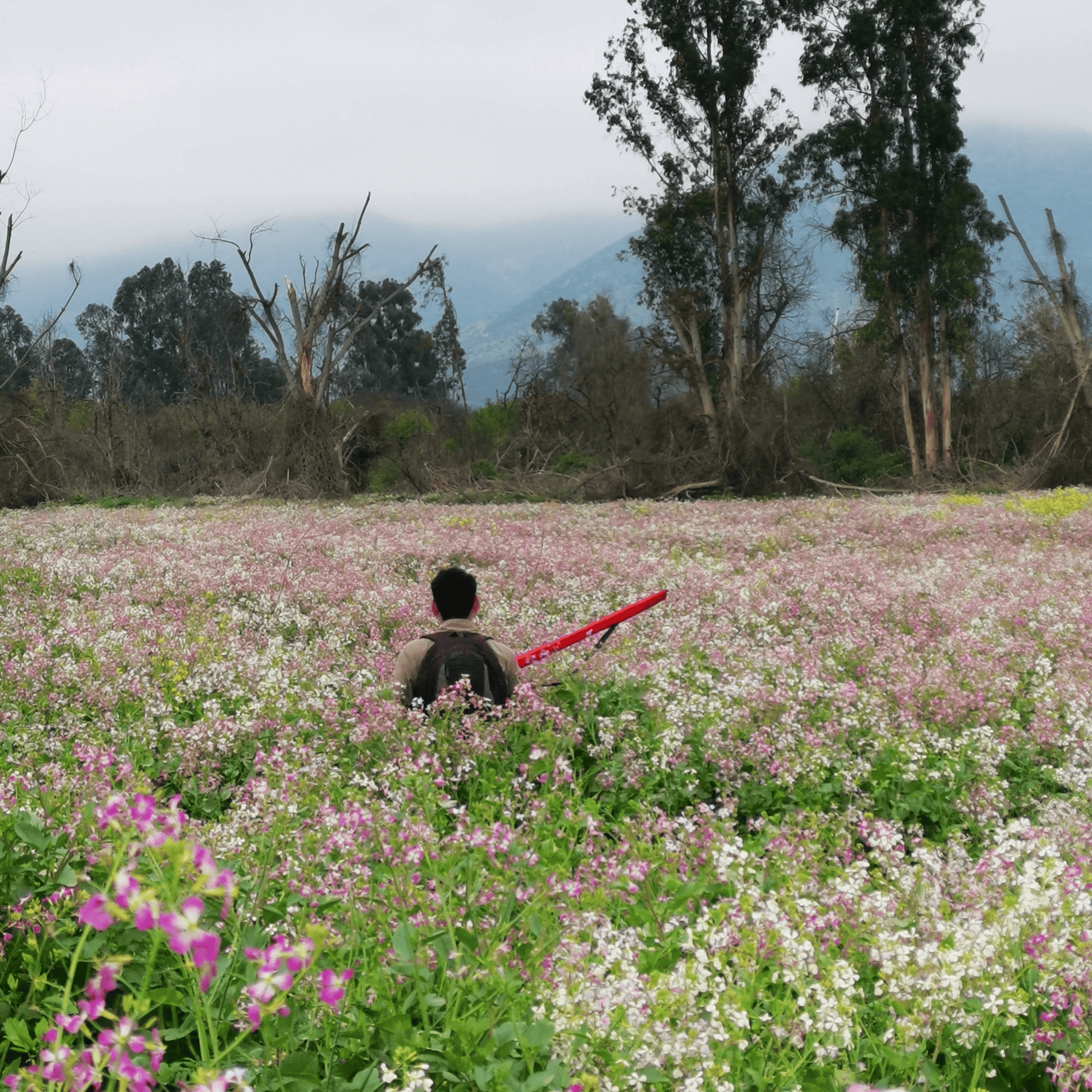 Equipo de Petricor Ingeniería especialista en recursos hídricos